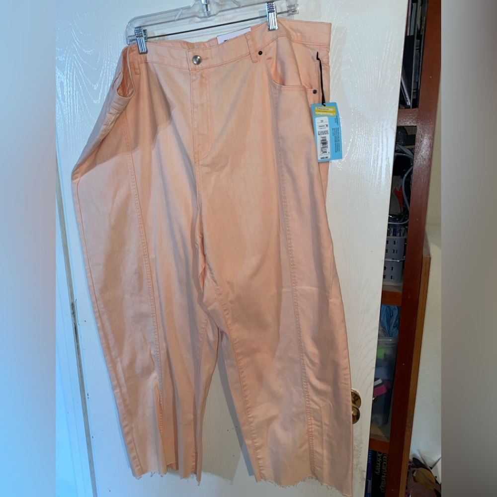 Future Collective - Peach Mid-rise Denim Pants 22